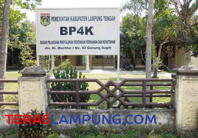 Kinerja BP4K Lampung Tengah Buruk, Petani Terhambat Serap Dana Dari Pusat