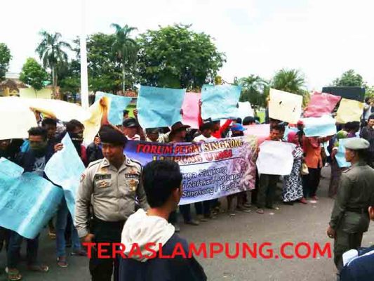 Para petani di Lampung Utara, Senin (23/1/2017) berunjuk rasa untuk menuntut agar Pemkab Lampura pedulu nasib mereka terkait anjloknya harga singkong.