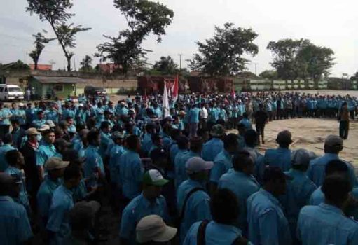 Ribuan Anggota Serikat Pekerja PTPN 7 Inspeksi Lahan Sengketa di Bunga Mayang