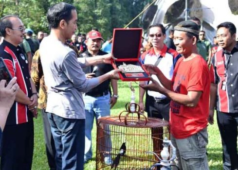 Presiden Jokowi menyerahkan hadiah kepada pemenang dalam acara Festival dan Pameran Burung Berkicau Piala Presiden Jokowi tahun 2018 di Kebun Raya Bogor, Minggu (11/3).