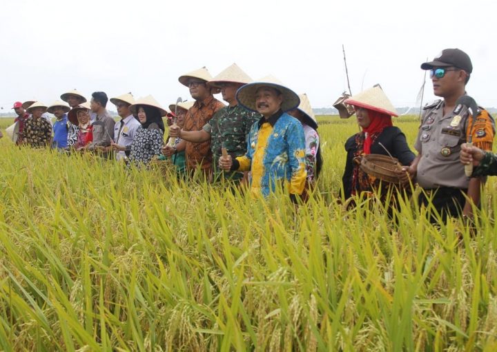 Kementan akan Optimalkan 2.100 Hektare Sawah di Lampung Timur