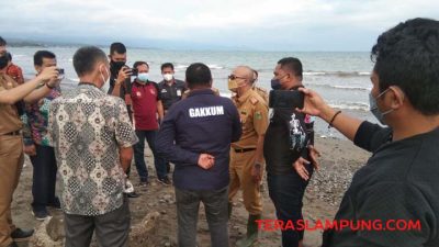 Pencemaran Pantai Pesisisir Lampung Langsung Ditangani KLHK-Mabes Polri, Ini Hasil Sementara