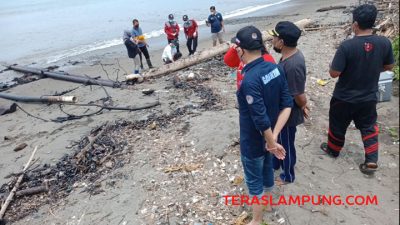 Plt Kadis Lingkungan Hidup Lampung, Murni Rizal, meninjau pencemaran limbah di Teluk Semaka, Sabtu (11/9/2021). Foto: Teraslampung.com/Siswanto