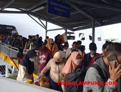 Dua Jam, Ribuan Pemudik Asal Pulau Jawa Padati Pelabuhan Bakauheni