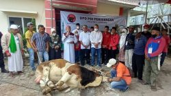 Penyembelihan hewan kurban di Kantor PDIP Lampung, Minggu (10/7/2022).