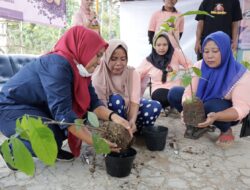 Bantu Perekonomian Warga, Mak Ganjar Lampung Bagikan 100 Bibit Kakao