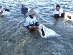 Nelayan Pesisir Dukung Ganjar Adakan Edukasi Budi Daya Rumput Laut di Lampung
