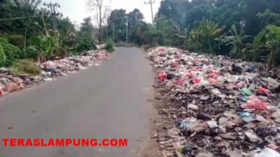 Kondisi kedua sisi Jalan KS Tubun Kotaalam, Lampung Utara yang dipenuhi tumpukan sampah. Foto: Teraslampung.com/Feaby Handana